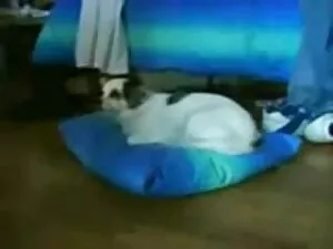 Brazzers - Strippers ...