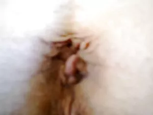 Todos los videos vid ...