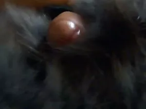 Salas de masaje Teta ...