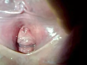 - pervertido paga vi ...