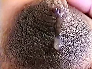 Lesbianas y musa se  ...